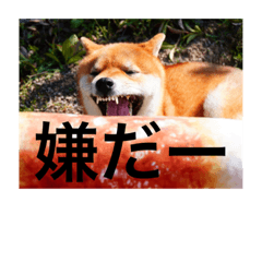 tetsu_20210604222342