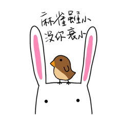只是長耳朵3.0