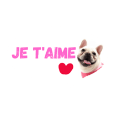 everyday French Bulldog charumera3