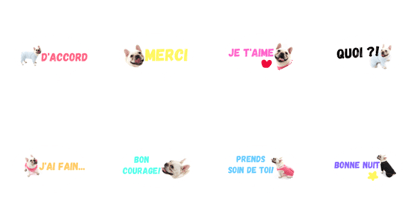 everyday French Bulldog charumera3 everyday French Bulldog charumera3