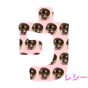 choco san+7