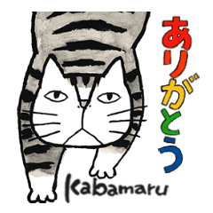 Cat character Kabamaru~heartwarming ~