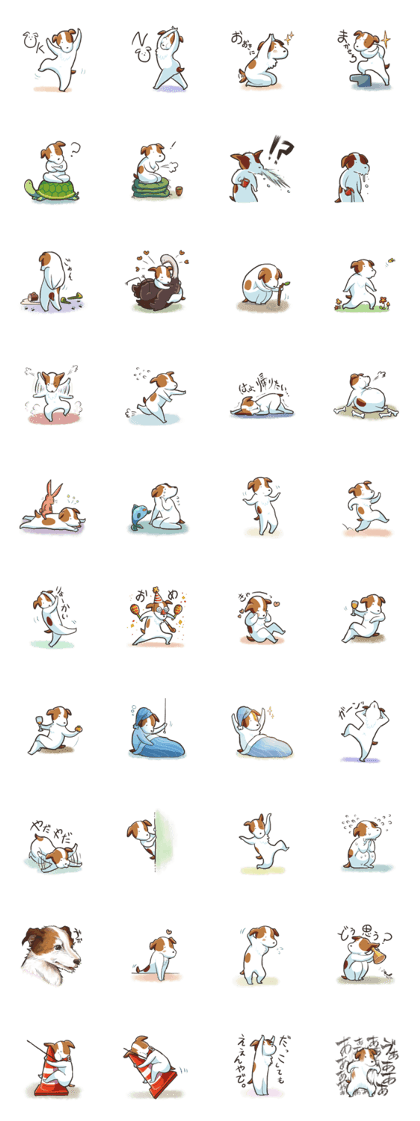 Active Dog Active Dog