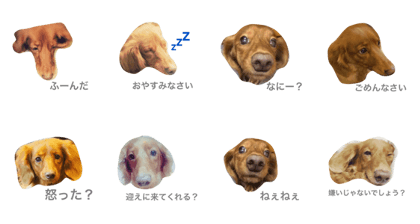 my dog is caramel my dog is caramel