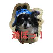 My family is Coco My family is Coco