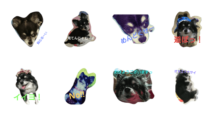 My family is Coco My family is Coco