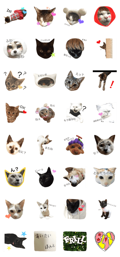 sweet pets sweet pets