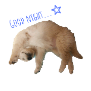 happyness golden happyness golden