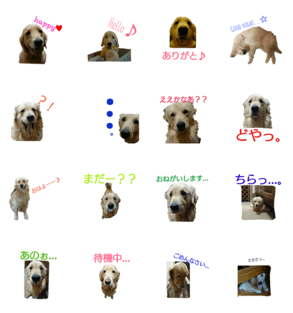 happyness golden happyness golden