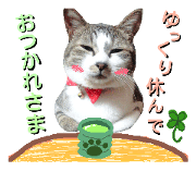 let our animals answer here