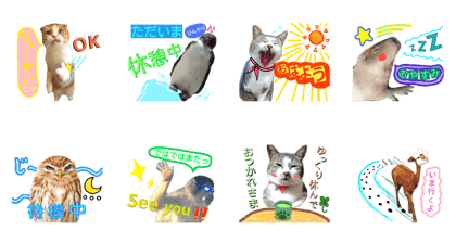 let our animals answer here