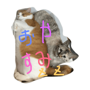 loverschan loverschan