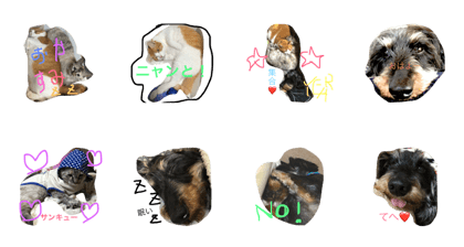 loverschan loverschan