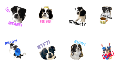 Doggie Day 4 Doggie Day 4