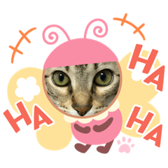 RISA_20210605042109