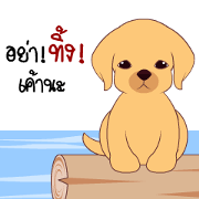 Little puppy V.2 Little puppy V.2