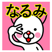 Narumi premium name sticker.