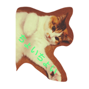 Dango-san and funny companions Dango-san and funny companions