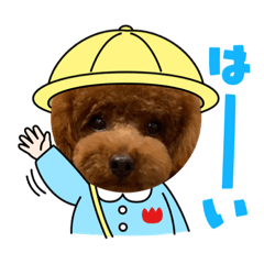 honey_20210605023414