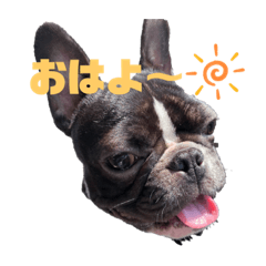 moyu_20210605084052