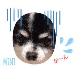 SAYURI_20210605061859