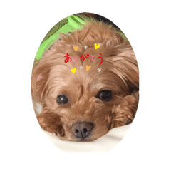 nozomi_20210605063601