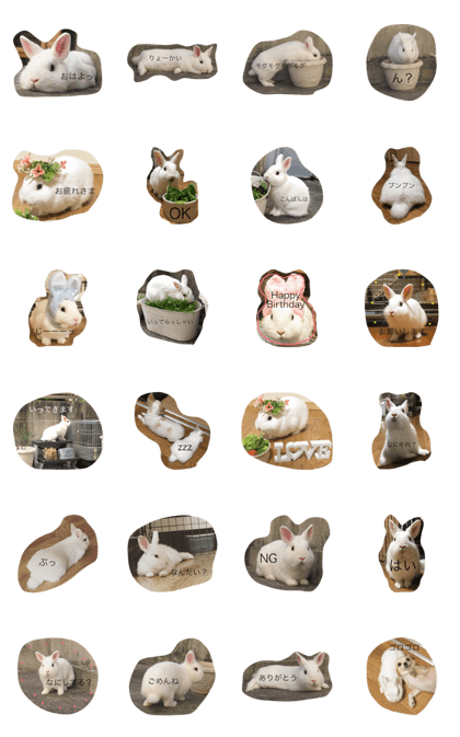 tororostamp tororostamp