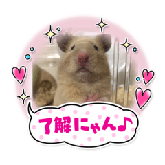 kaori_20210605073554