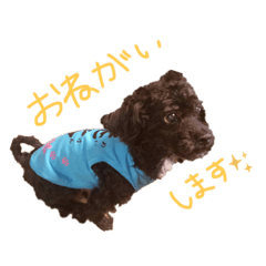 MIKI_20210605085217