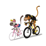 Life cycling Life cycling