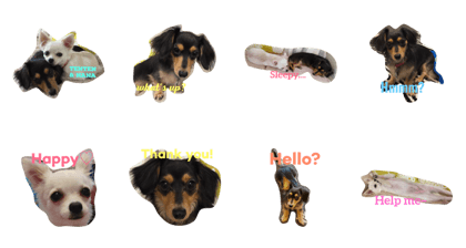 Tenten & Nana Tenten & Nana