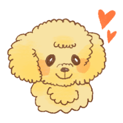 Cutie Toy Poodle Sticker