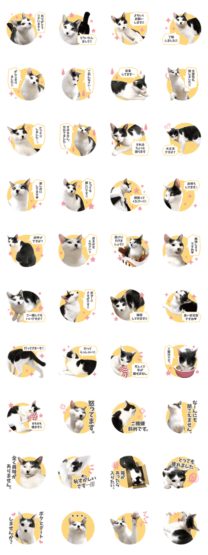 Very cute of my son honorific version