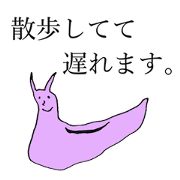 Sea friends for you Sea friends for you