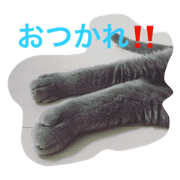 Konnyaku of a cat 3 Konnyaku of a cat 3