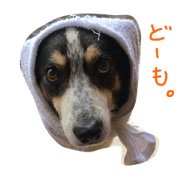 Lovely black and white Lovely black and white