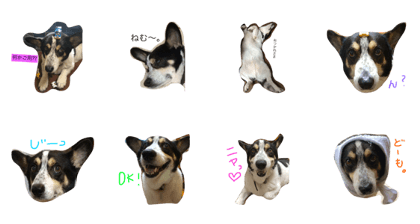 Lovely black and white Lovely black and white