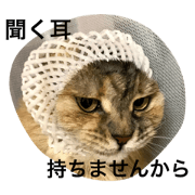 uchino perochan uchino perochan