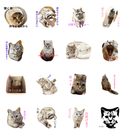 uchino perochan uchino perochan