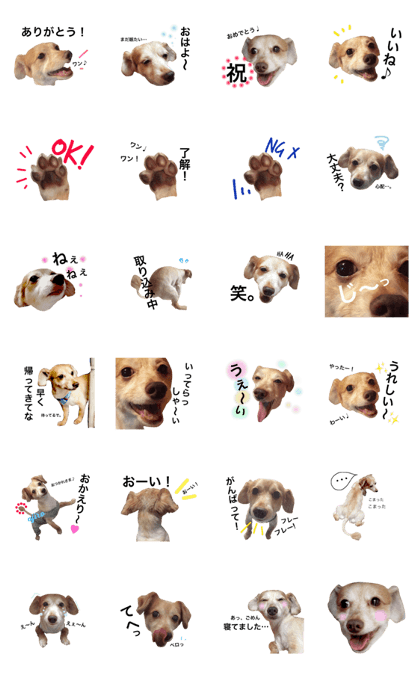 I'm Ojiro -ver.2- I'm Ojiro -ver.2-