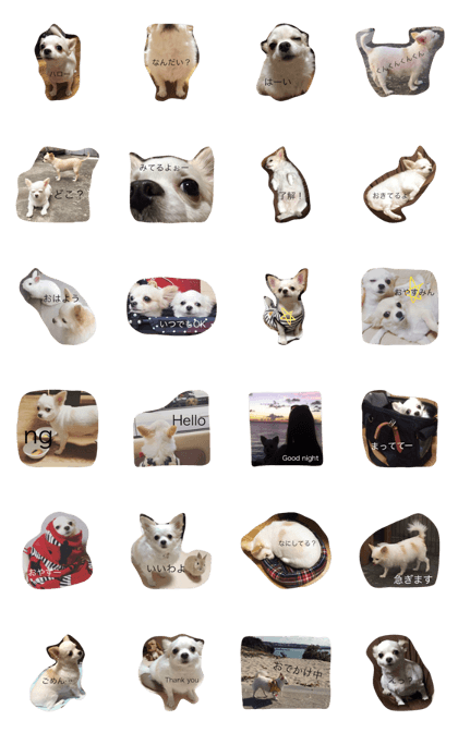 SUIdog stamp SUIdog stamp