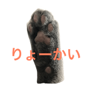 Konnyaku of a cat 2 Konnyaku of a cat 2