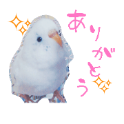 A lovely bird stickers. A lovely bird stickers.