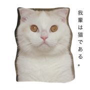 Emotion of "irusuke" Emotion of "irusuke"