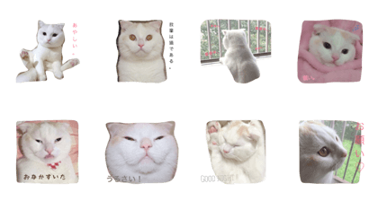 Emotion of "irusuke" Emotion of "irusuke"