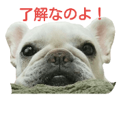 frebll is umemugi frebll is umemugi