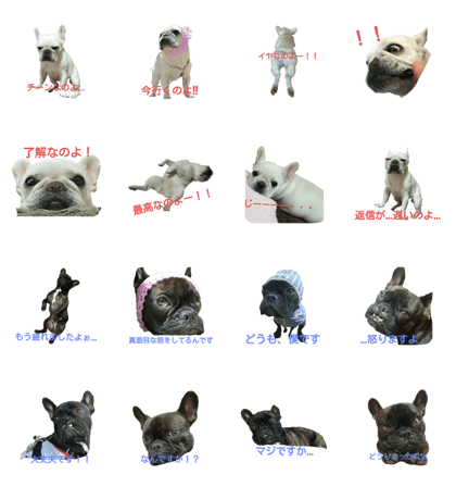 frebll is umemugi frebll is umemugi