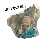 Ruru&Rukia 2 Ruru&Rukia 2