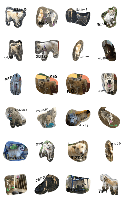 Ruru&Rukia 2 Ruru&Rukia 2