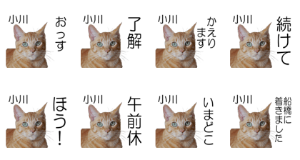 My Cat Hanio for Ogawa San My Cat Hanio for Ogawa San